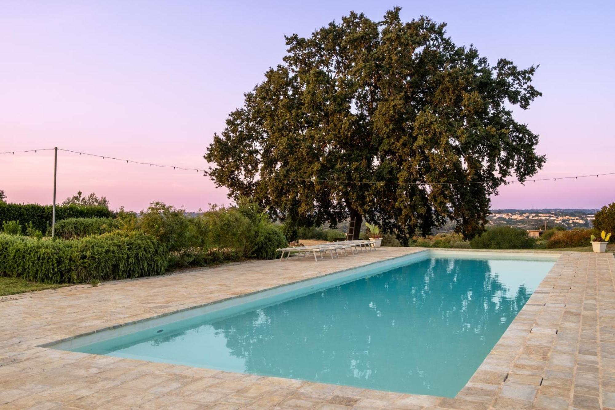 Trulli Paparale Alberobello Exterior photo